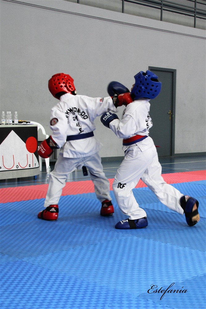 Copa Seul 2018 (512).jpg